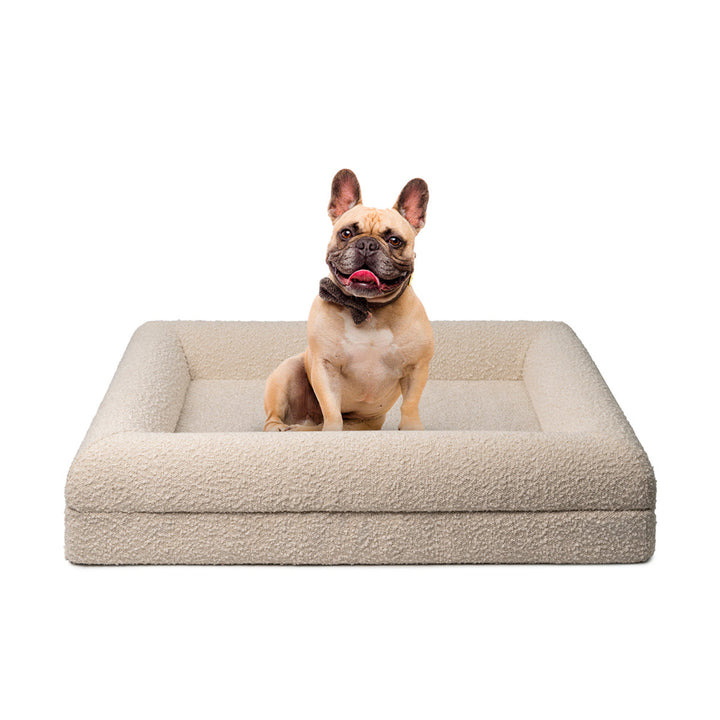 Vaskbar hundeseng | Aftageligt betræk | Ortopædisk bund | Premium hvid boucle-stof