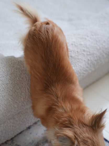 Premium Bouclé Kæledyrsseng