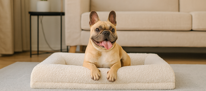 Premium Bouclé Kæledyrsseng